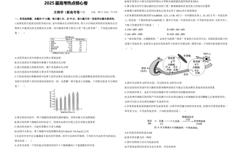 2025届高考生物学热点核心卷新高考卷一_2025年6月_2506022025届高考生物学热点核心卷新高考卷_2025届高考生物学热点核心卷新高考卷一（含解析）