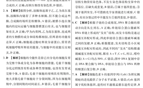 新时代高中教育联合体2025年11月高三学年期中联考巩固卷（一）生物答案_251112黑龙江省新时代高中教育联合体2025年11月高三学年期中联考巩固卷（一）（全科）