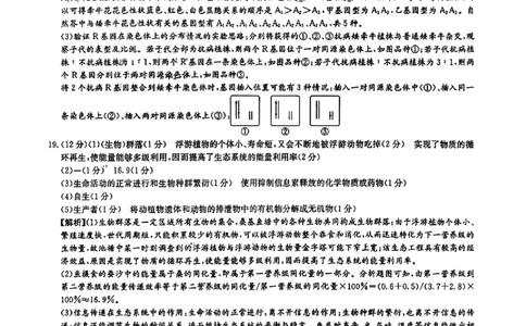 湖南省长沙市长郡中学2025-2026学年高三上学期12月月考（四）生物答案_2025年12月_251229湖南省长沙市长郡中学2025-2026学年高三上学期12月月考（四）