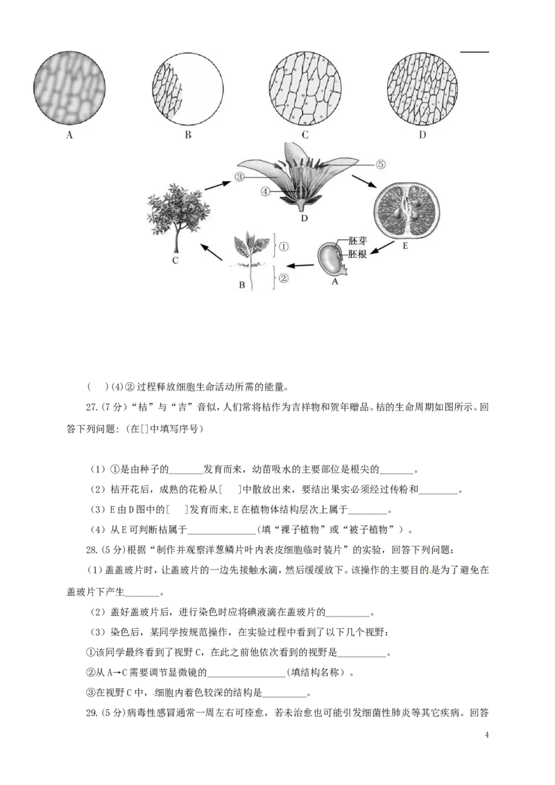 福建省2017年中考生物真题试题（含答案）_中考真题_8.生物中考真题2015-2024年_2017年全国中考生物124份