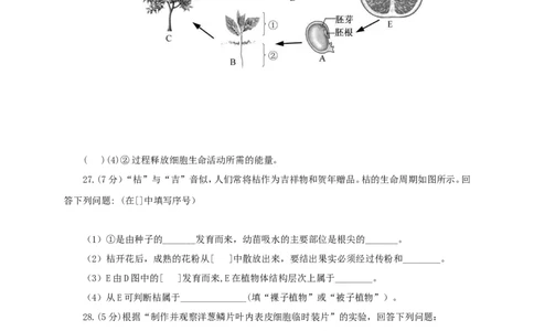 福建省2017年中考生物真题试题（含答案）_中考真题_8.生物中考真题2015-2024年_2017年全国中考生物124份