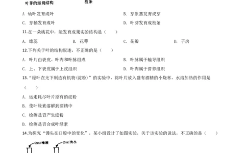 精品解析：2019年云南省中考生物学试题（原卷版）_中考真题_8.生物中考真题2015-2024年_2019年全国中考生物92份_精品解析：云南省2019年中考生物试题