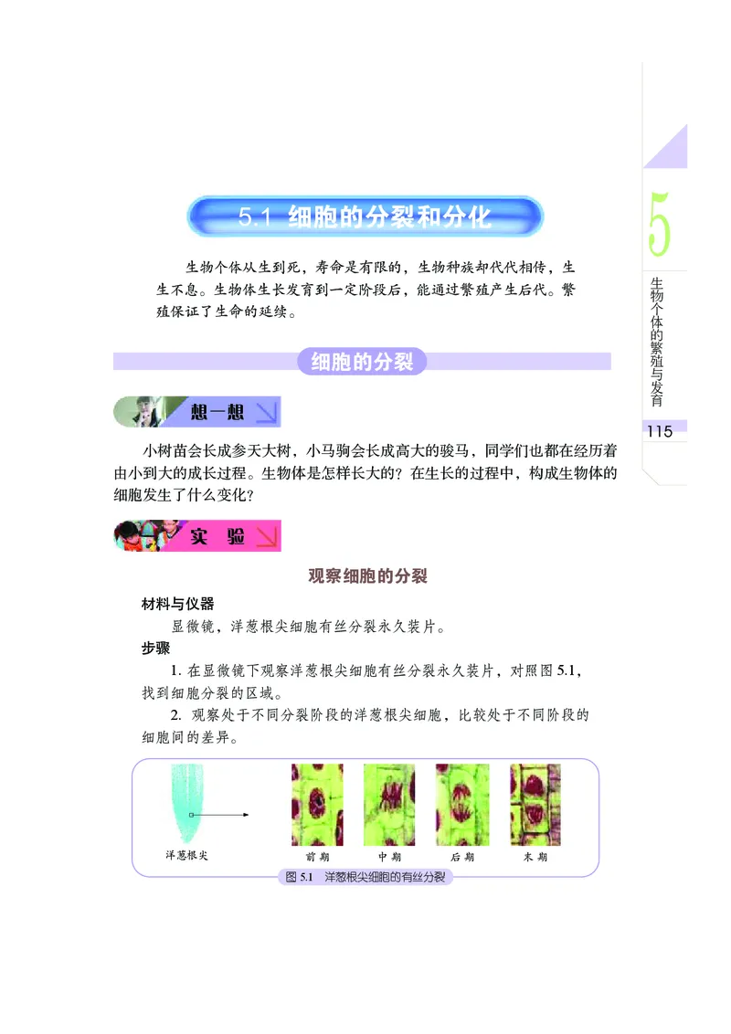 武汉版8年级科学下册高清教材_4-教培资料-26年最新资料-同步更新_初中高中教资_03科三专项（进去保存报考的学科即可）_02科三专项（笔记真题思维导图教学设计版本二）