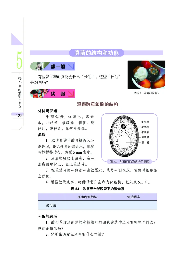 武汉版8年级科学下册高清教材_4-教培资料-26年最新资料-同步更新_初中高中教资_03科三专项（进去保存报考的学科即可）_02科三专项（笔记真题思维导图教学设计版本二）