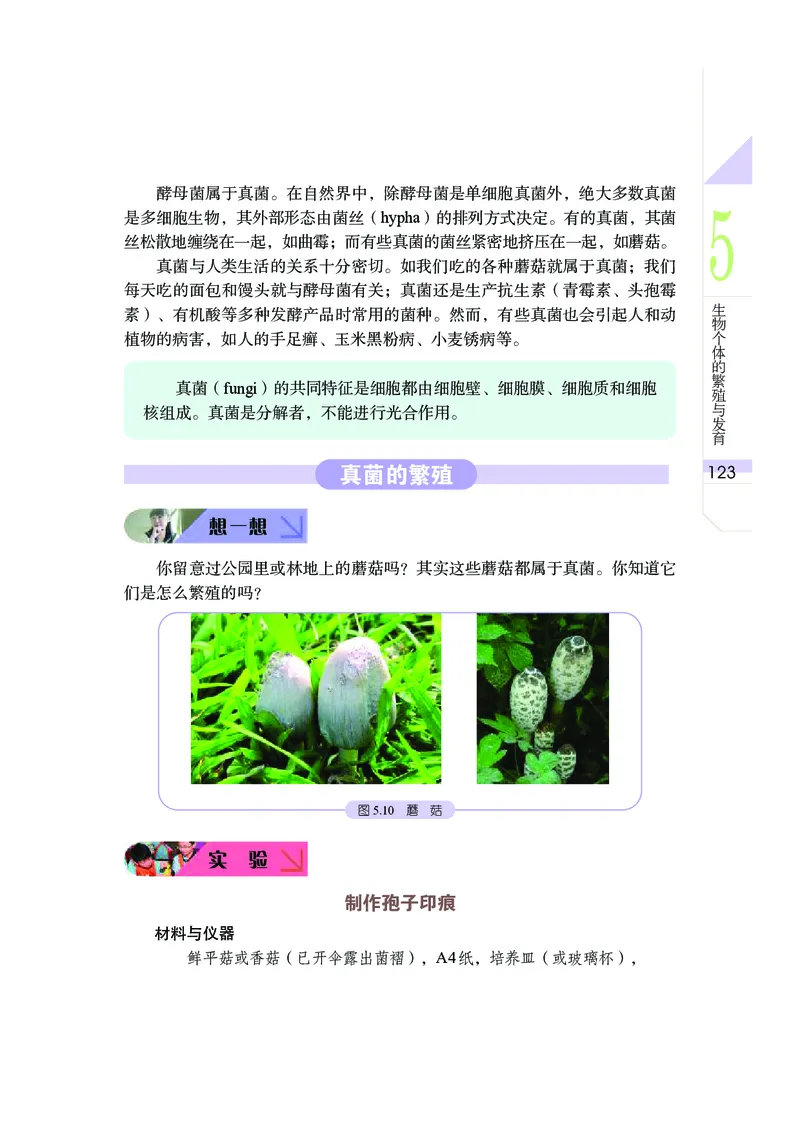 武汉版8年级科学下册高清教材_4-教培资料-26年最新资料-同步更新_初中高中教资_03科三专项（进去保存报考的学科即可）_02科三专项（笔记真题思维导图教学设计版本二）