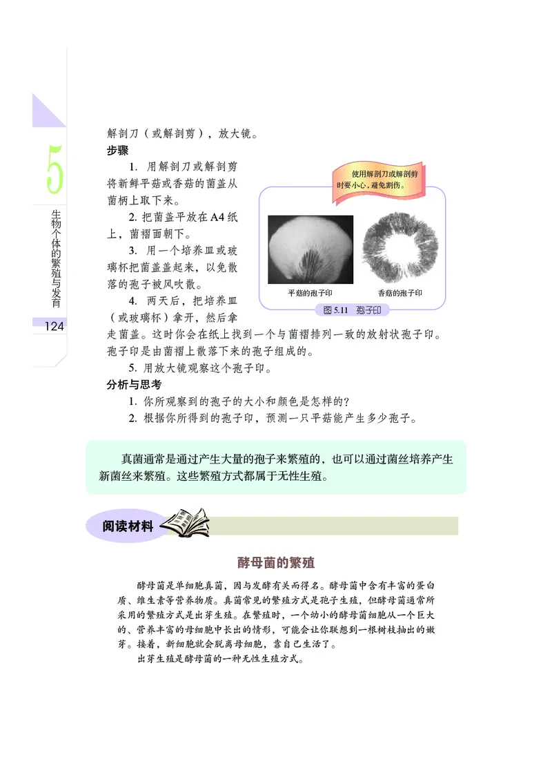 武汉版8年级科学下册高清教材_4-教培资料-26年最新资料-同步更新_初中高中教资_03科三专项（进去保存报考的学科即可）_02科三专项（笔记真题思维导图教学设计版本二）