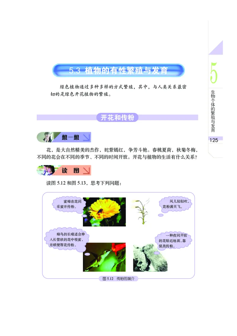 武汉版8年级科学下册高清教材_4-教培资料-26年最新资料-同步更新_初中高中教资_03科三专项（进去保存报考的学科即可）_02科三专项（笔记真题思维导图教学设计版本二）