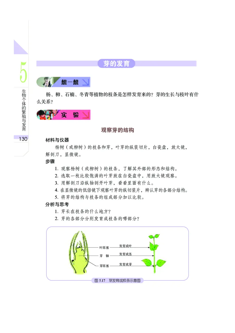 武汉版8年级科学下册高清教材_4-教培资料-26年最新资料-同步更新_初中高中教资_03科三专项（进去保存报考的学科即可）_02科三专项（笔记真题思维导图教学设计版本二）