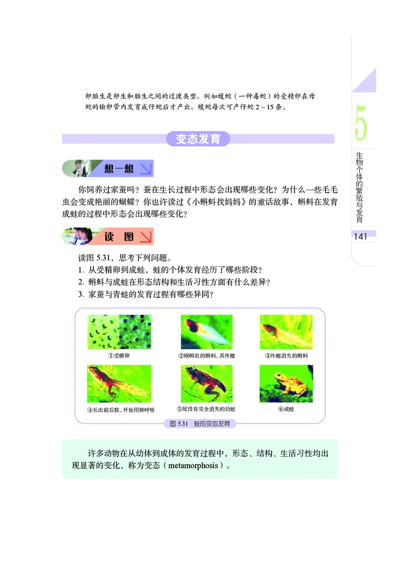 武汉版8年级科学下册高清教材_4-教培资料-26年最新资料-同步更新_初中高中教资_03科三专项（进去保存报考的学科即可）_02科三专项（笔记真题思维导图教学设计版本二）
