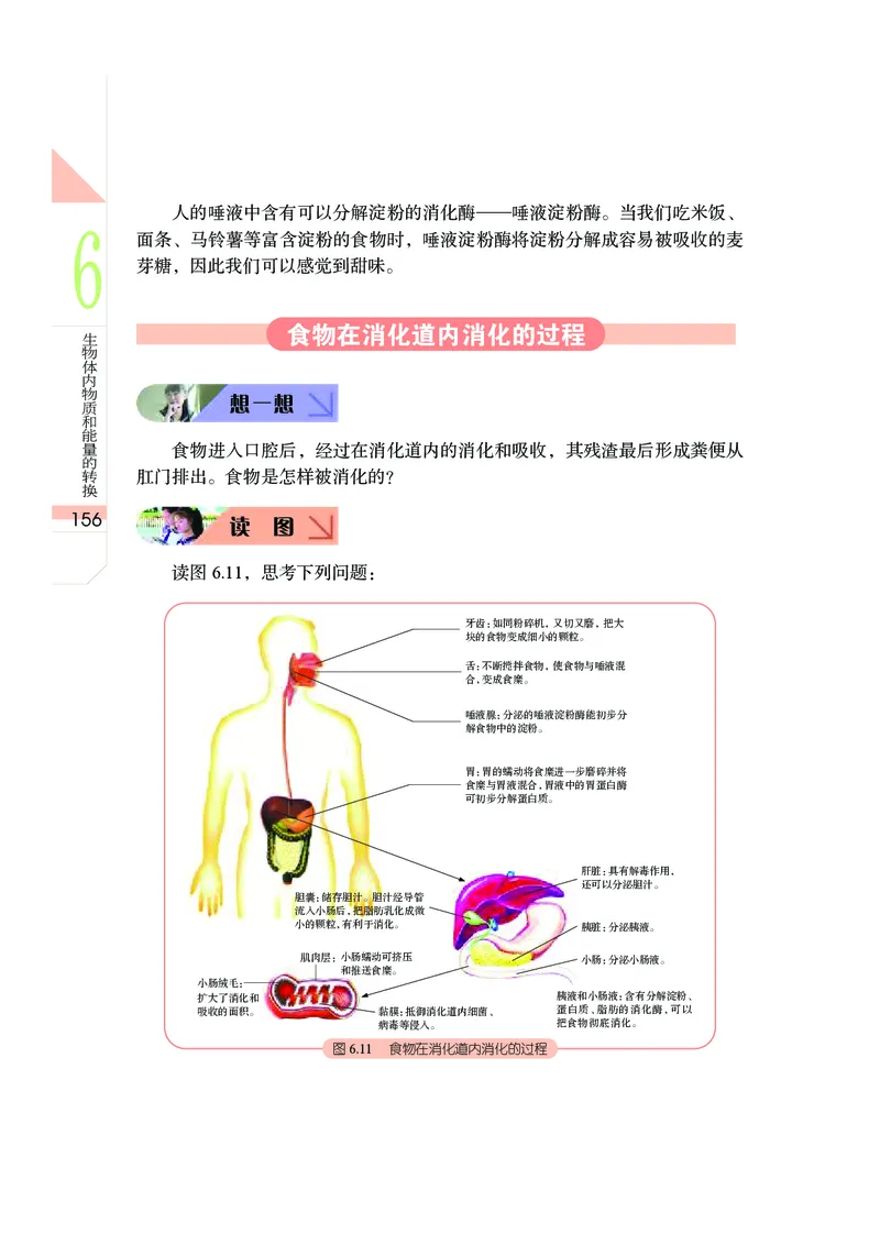 武汉版8年级科学下册高清教材_4-教培资料-26年最新资料-同步更新_初中高中教资_03科三专项（进去保存报考的学科即可）_02科三专项（笔记真题思维导图教学设计版本二）