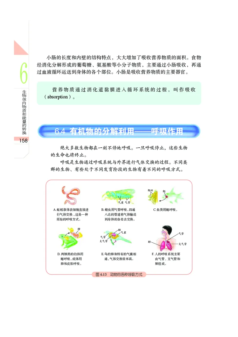 武汉版8年级科学下册高清教材_4-教培资料-26年最新资料-同步更新_初中高中教资_03科三专项（进去保存报考的学科即可）_02科三专项（笔记真题思维导图教学设计版本二）