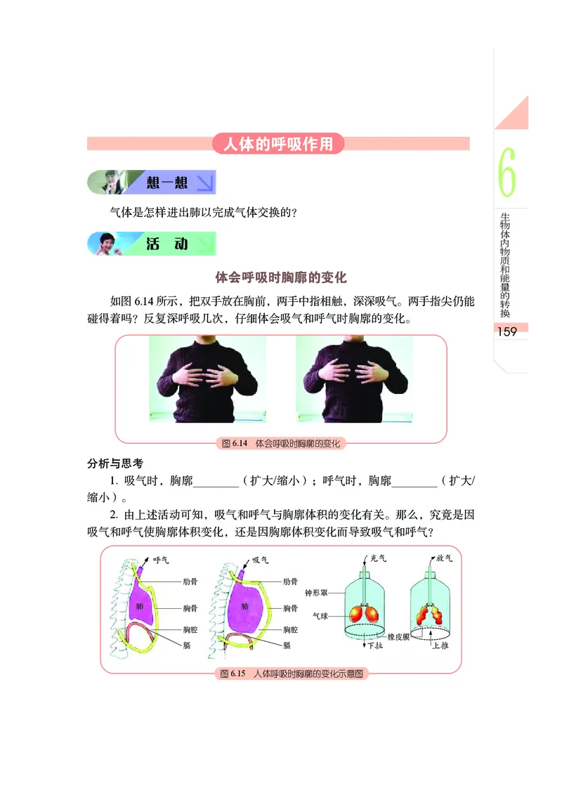 武汉版8年级科学下册高清教材_4-教培资料-26年最新资料-同步更新_初中高中教资_03科三专项（进去保存报考的学科即可）_02科三专项（笔记真题思维导图教学设计版本二）