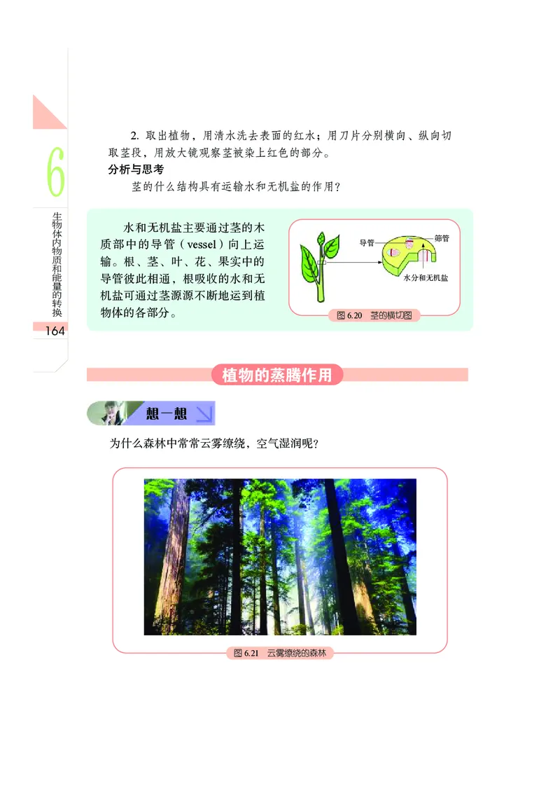 武汉版8年级科学下册高清教材_4-教培资料-26年最新资料-同步更新_初中高中教资_03科三专项（进去保存报考的学科即可）_02科三专项（笔记真题思维导图教学设计版本二）