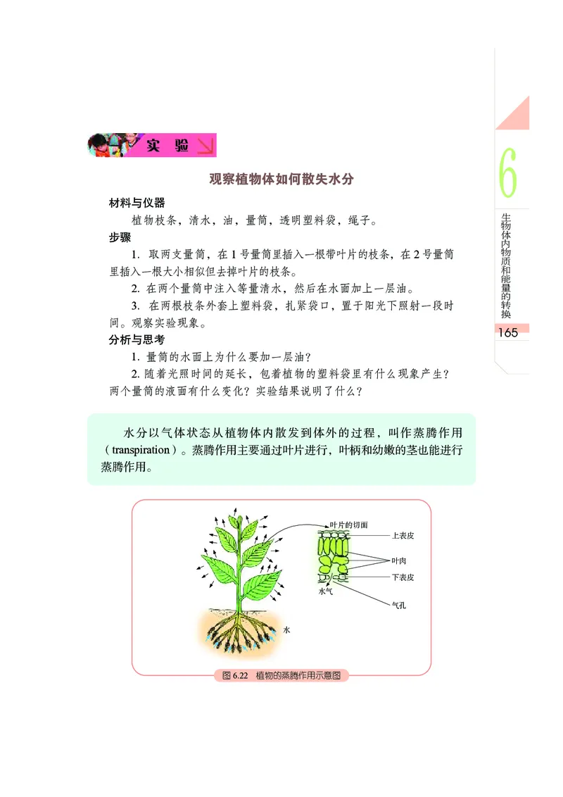 武汉版8年级科学下册高清教材_4-教培资料-26年最新资料-同步更新_初中高中教资_03科三专项（进去保存报考的学科即可）_02科三专项（笔记真题思维导图教学设计版本二）