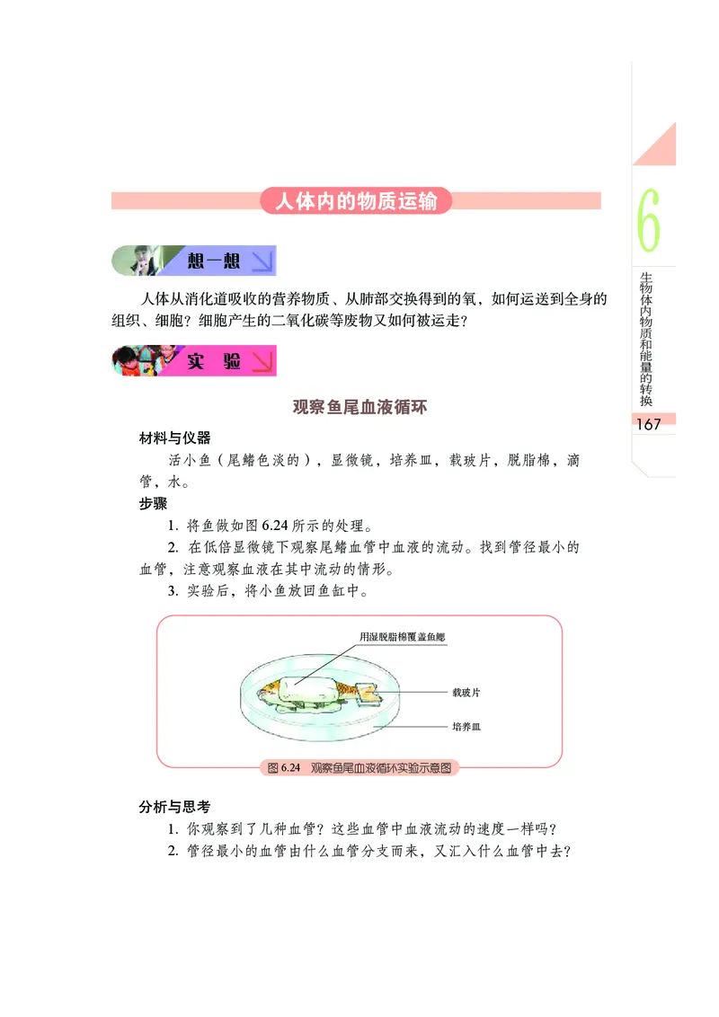 武汉版8年级科学下册高清教材_4-教培资料-26年最新资料-同步更新_初中高中教资_03科三专项（进去保存报考的学科即可）_02科三专项（笔记真题思维导图教学设计版本二）