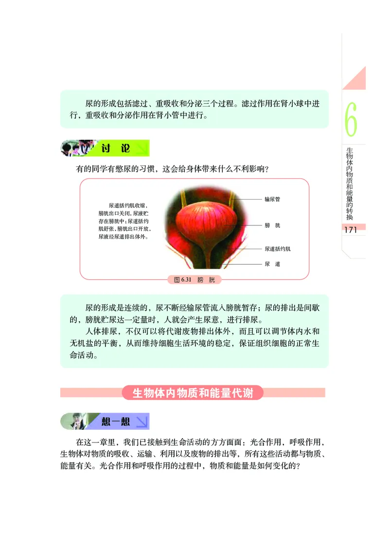 武汉版8年级科学下册高清教材_4-教培资料-26年最新资料-同步更新_初中高中教资_03科三专项（进去保存报考的学科即可）_02科三专项（笔记真题思维导图教学设计版本二）