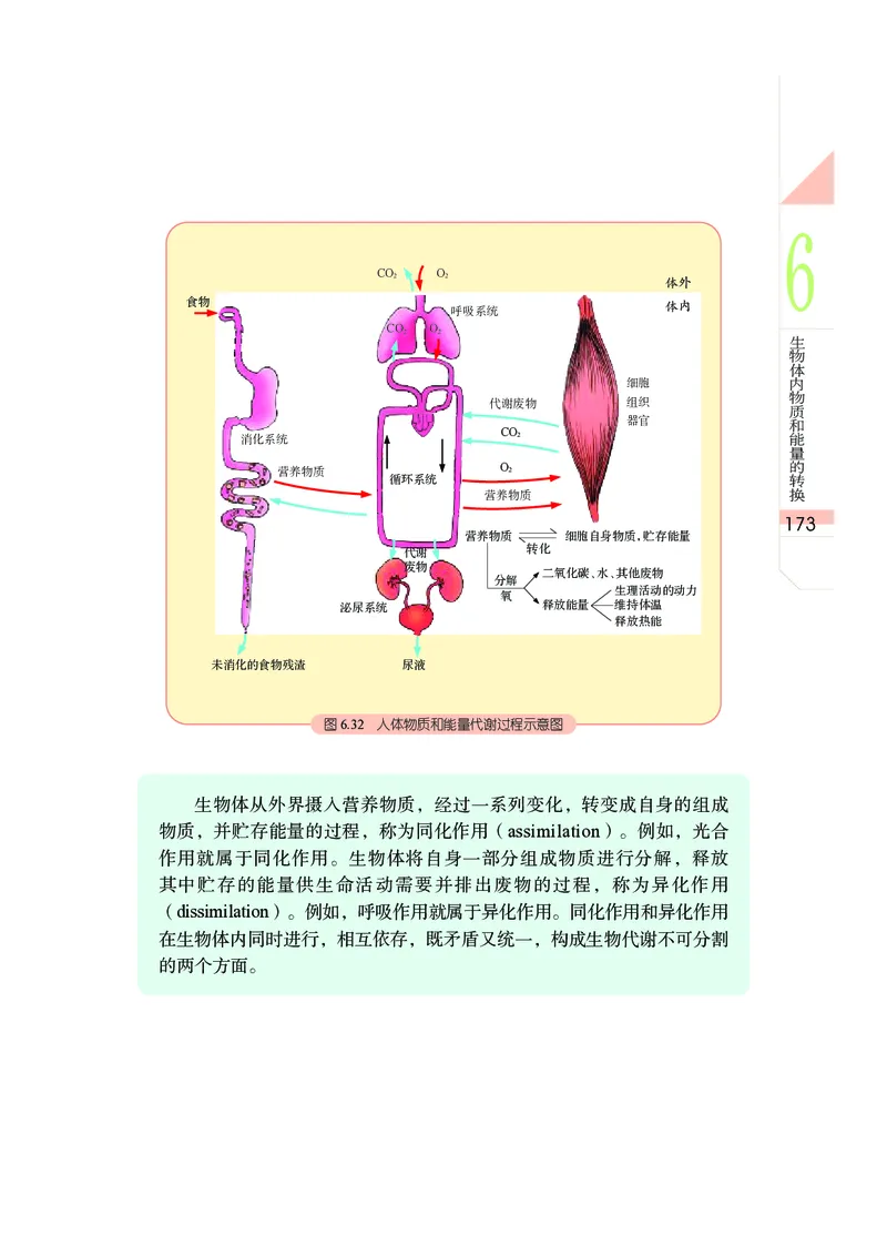 武汉版8年级科学下册高清教材_4-教培资料-26年最新资料-同步更新_初中高中教资_03科三专项（进去保存报考的学科即可）_02科三专项（笔记真题思维导图教学设计版本二）