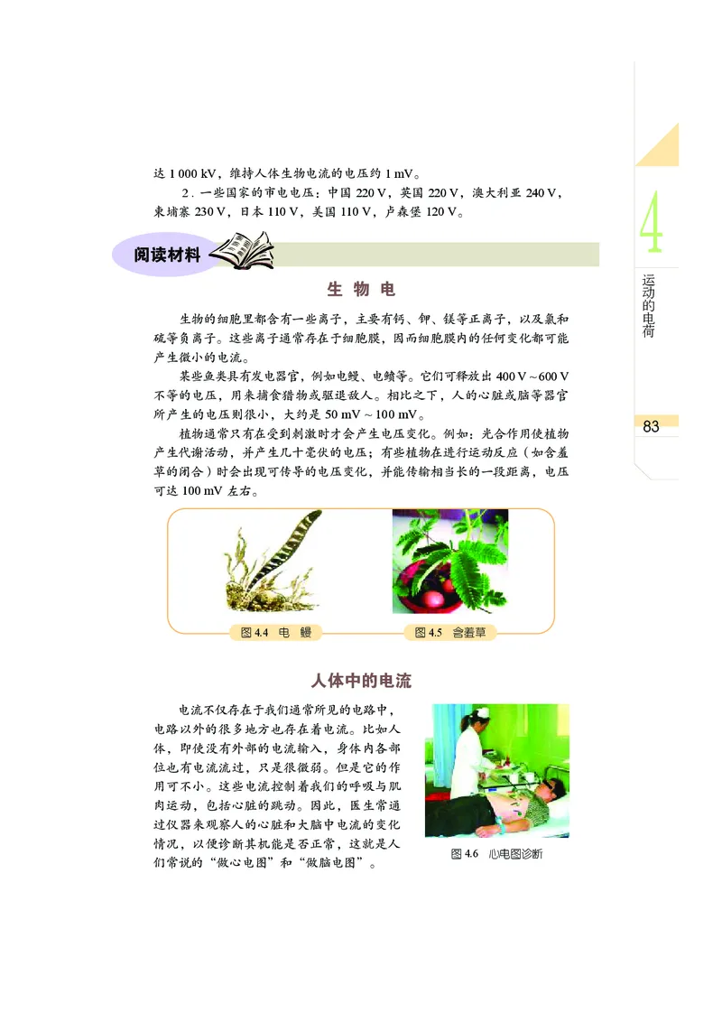 武汉版8年级科学下册高清教材_4-教培资料-26年最新资料-同步更新_初中高中教资_03科三专项（进去保存报考的学科即可）_02科三专项（笔记真题思维导图教学设计版本二）