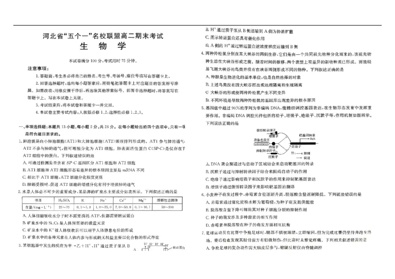 河北省&ldquo;五个一&rdquo;名校联盟2024-2025学年高二下学期7月期末生物试题（有答案）_2025年7月_250715河北省&ldquo;五个一&rdquo;名校联盟2024-2025学年高二下学期7月期末