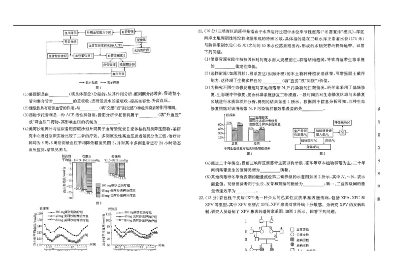 河北省&ldquo;五个一&rdquo;名校联盟2024-2025学年高二下学期7月期末生物试题（有答案）_2025年7月_250715河北省&ldquo;五个一&rdquo;名校联盟2024-2025学年高二下学期7月期末
