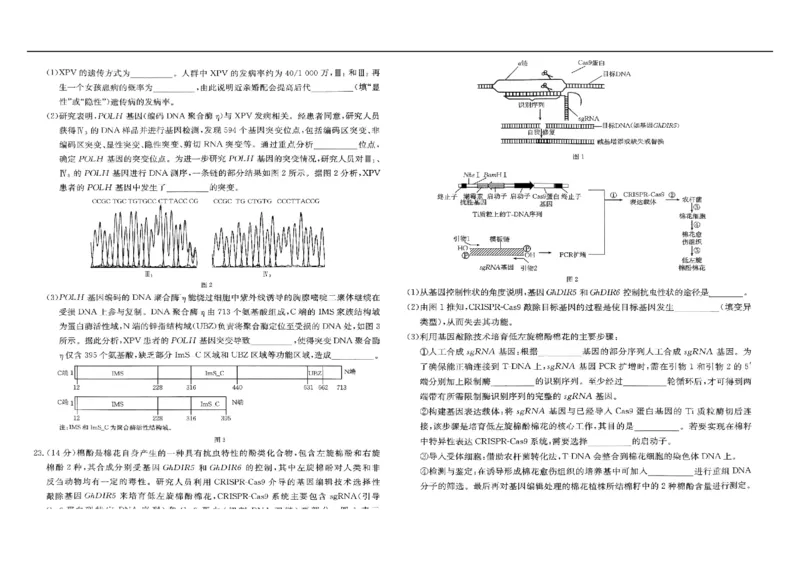 河北省&ldquo;五个一&rdquo;名校联盟2024-2025学年高二下学期7月期末生物试题（有答案）_2025年7月_250715河北省&ldquo;五个一&rdquo;名校联盟2024-2025学年高二下学期7月期末