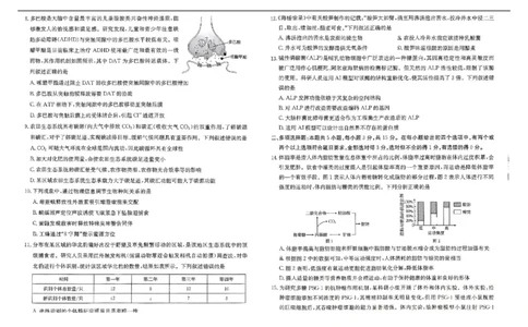 河北省&ldquo;五个一&rdquo;名校联盟2024-2025学年高二下学期7月期末生物试题（有答案）_2025年7月_250715河北省&ldquo;五个一&rdquo;名校联盟2024-2025学年高二下学期7月期末