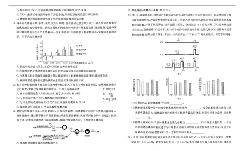 河北省&ldquo;五个一&rdquo;名校联盟2024-2025学年高二下学期7月期末生物试题（有答案）_2025年7月_250715河北省&ldquo;五个一&rdquo;名校联盟2024-2025学年高二下学期7月期末