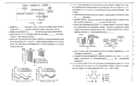 河北省&ldquo;五个一&rdquo;名校联盟2024-2025学年高二下学期7月期末生物试题（有答案）_2025年7月_250715河北省&ldquo;五个一&rdquo;名校联盟2024-2025学年高二下学期7月期末