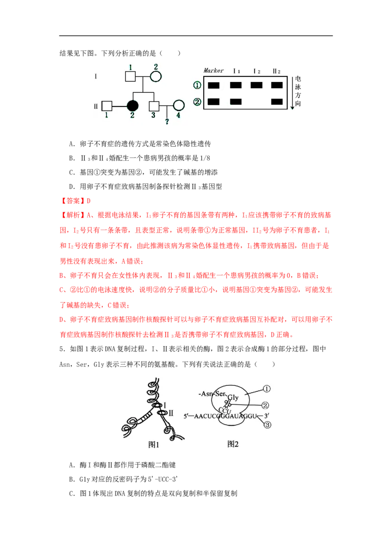 惠州市实验中学2026届高三生物12月阶段性检测（解析版）_2025年12月_251207广东省惠州市实验中学2025-2026学年高三上学期12月阶段性检测（全科）