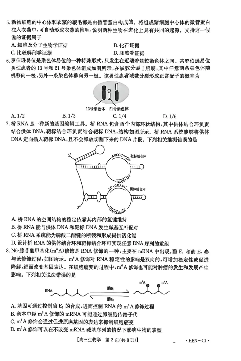 河南省2026届高三上学期11月联考（HEN）生物_2025年12月_251201河南省金太阳2026届高三上学期11月联考（全科）_河南省金太阳2026届高三上学期11月联考生物