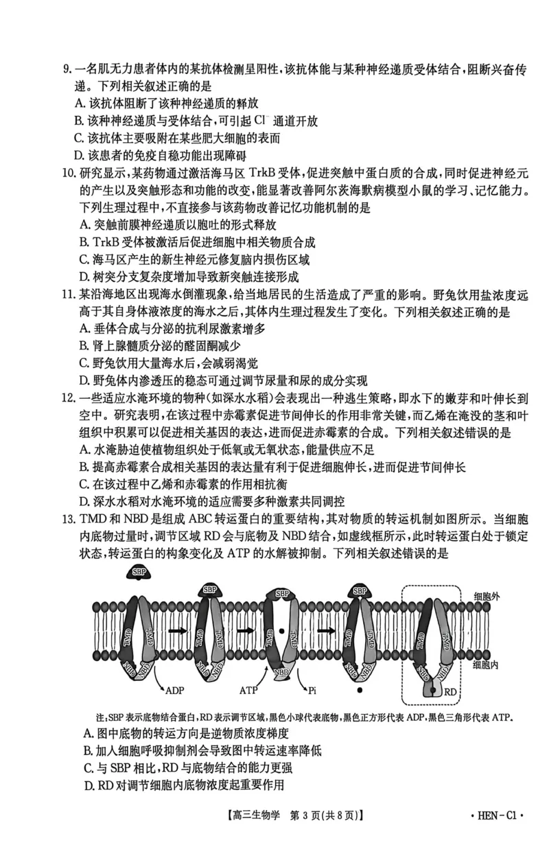 河南省2026届高三上学期11月联考（HEN）生物_2025年12月_251201河南省金太阳2026届高三上学期11月联考（全科）_河南省金太阳2026届高三上学期11月联考生物