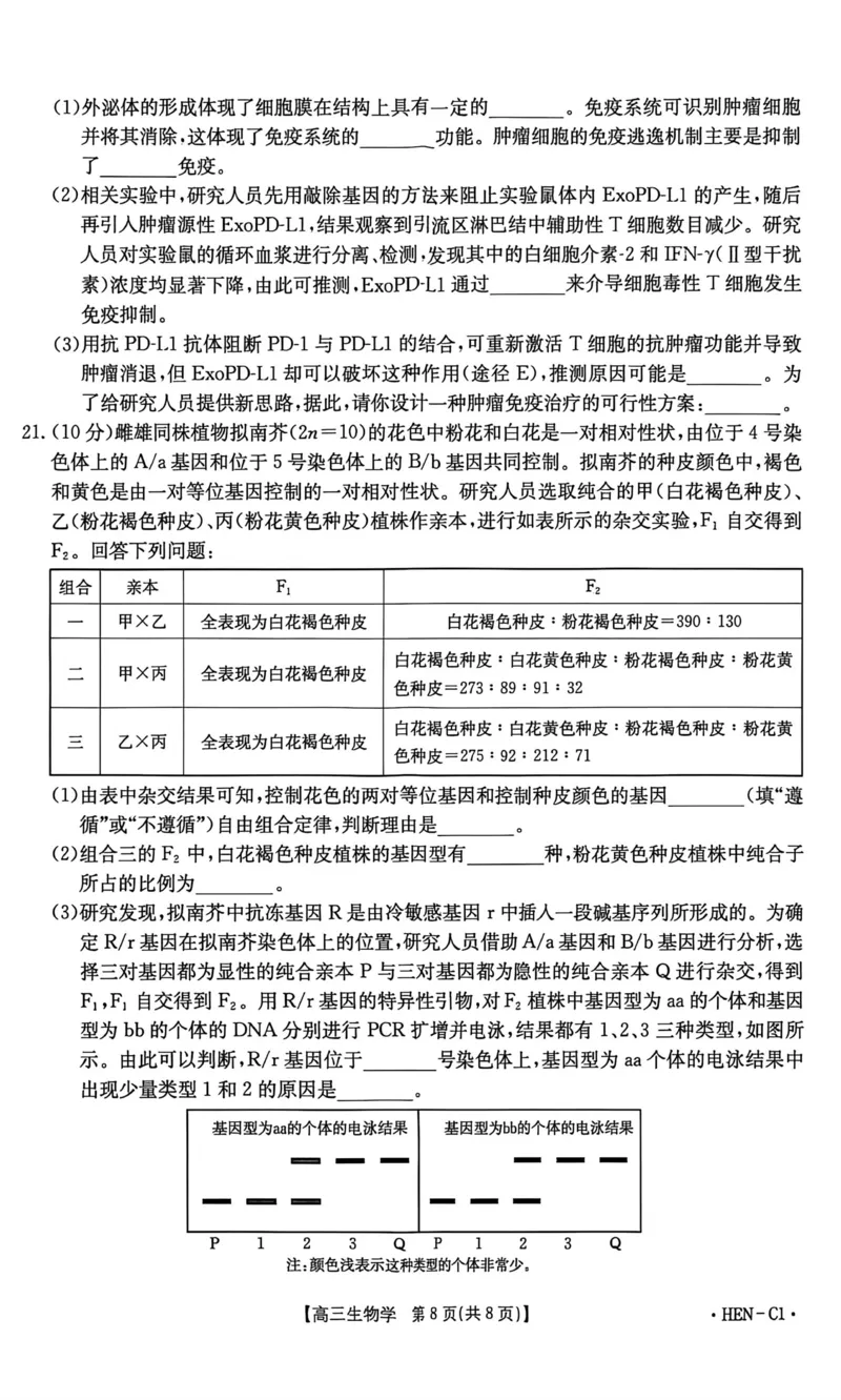 河南省2026届高三上学期11月联考（HEN）生物_2025年12月_251201河南省金太阳2026届高三上学期11月联考（全科）_河南省金太阳2026届高三上学期11月联考生物