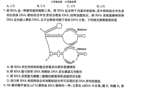 河南省2026届高三上学期11月联考（HEN）生物_2025年12月_251201河南省金太阳2026届高三上学期11月联考（全科）_河南省金太阳2026届高三上学期11月联考生物