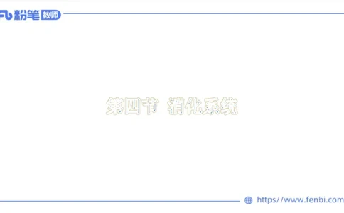 理论精讲-运动解剖学4_4-教培资料-26年最新资料-同步更新_科一科二电子资料合集中小幼（笔记真题知识点汇总等）文件多，按需保存_各机构笔记合集（中小幼）推荐_1理论精讲