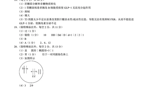 巴蜀中学2026届高考适应性月考卷（四）生物答案_2025年12月_251203重庆市巴蜀中学2026届高考适应性月考卷（四）（全科）