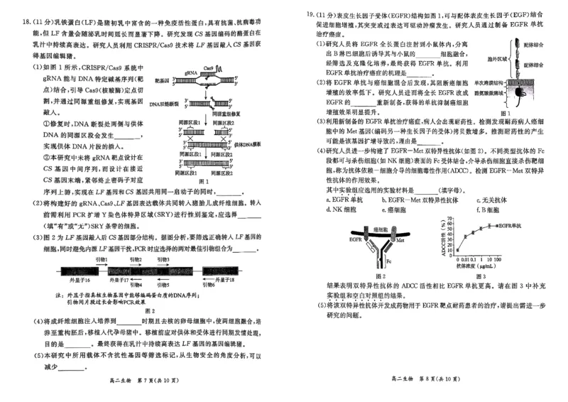 北京市东城区2024-2025学年度高二第二学期期末统一检测生物学试卷（含答案）_2025年7月_250728北京市东城区2024-2025学年高二下学期期末考试（全科）_0823204624