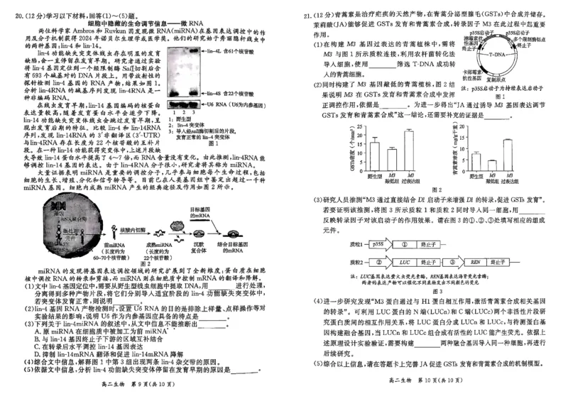 北京市东城区2024-2025学年度高二第二学期期末统一检测生物学试卷（含答案）_2025年7月_250728北京市东城区2024-2025学年高二下学期期末考试（全科）_0823204624