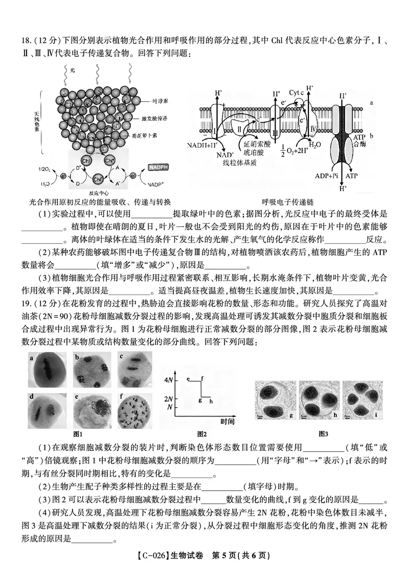 生物试题&middot;江西省九校重点中学2026届高三年级第一次联合考试_251121江西省九校重点中学2026届高三年级第一次联合考试（全科）