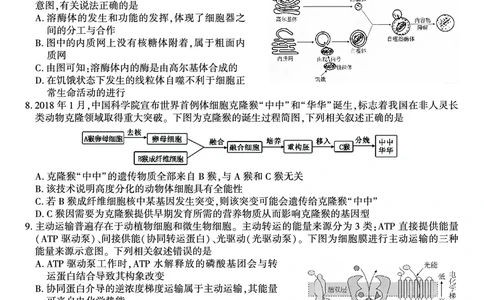 生物试题&middot;江西省九校重点中学2026届高三年级第一次联合考试_251121江西省九校重点中学2026届高三年级第一次联合考试（全科）