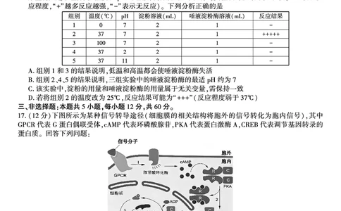 生物试题&middot;江西省九校重点中学2026届高三年级第一次联合考试_251121江西省九校重点中学2026届高三年级第一次联合考试（全科）