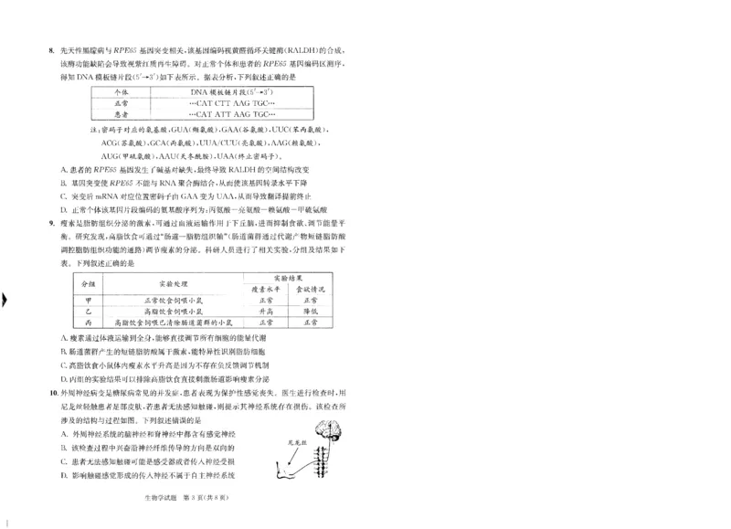 成都市2023级高中毕业班第一次诊断性检测生物_2025年12月_251224四川省成都市2023级(2026届)高中毕业班高三年级第一次诊断性检测（全科）