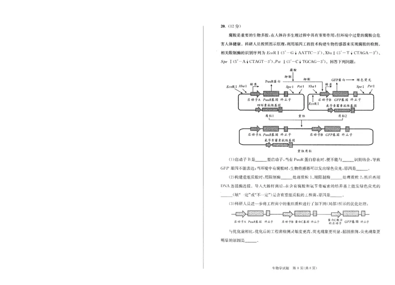成都市2023级高中毕业班第一次诊断性检测生物_2025年12月_251224四川省成都市2023级(2026届)高中毕业班高三年级第一次诊断性检测（全科）