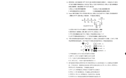 成都市2023级高中毕业班第一次诊断性检测生物_2025年12月_251224四川省成都市2023级(2026届)高中毕业班高三年级第一次诊断性检测（全科）