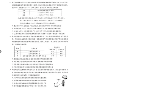 成都市2023级高中毕业班第一次诊断性检测生物_2025年12月_251224四川省成都市2023级(2026届)高中毕业班高三年级第一次诊断性检测（全科）