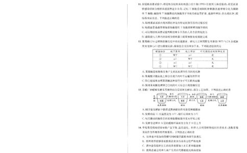 成都市2023级高中毕业班第一次诊断性检测生物_2025年12月_251224四川省成都市2023级(2026届)高中毕业班高三年级第一次诊断性检测（全科）