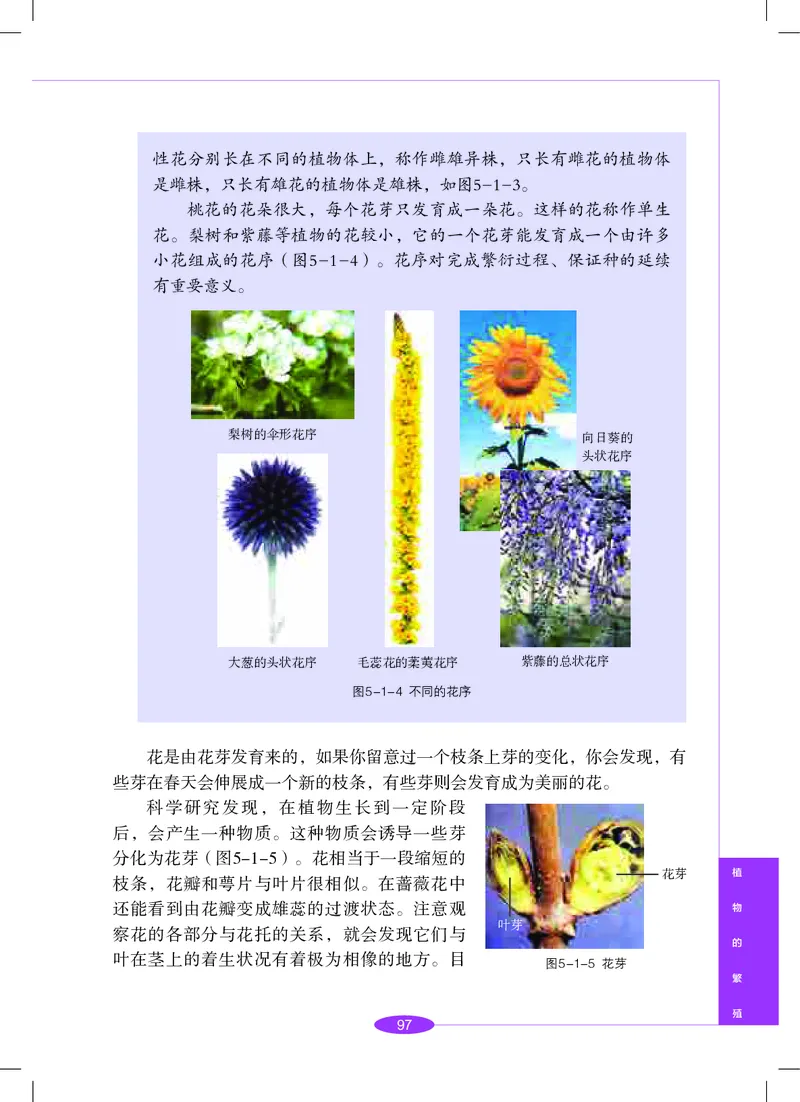 沪教版8年级科学下册高清教材_4-教培资料-26年最新资料-同步更新_初中高中教资_03科三专项（进去保存报考的学科即可）_02科三专项（笔记真题思维导图教学设计版本二）