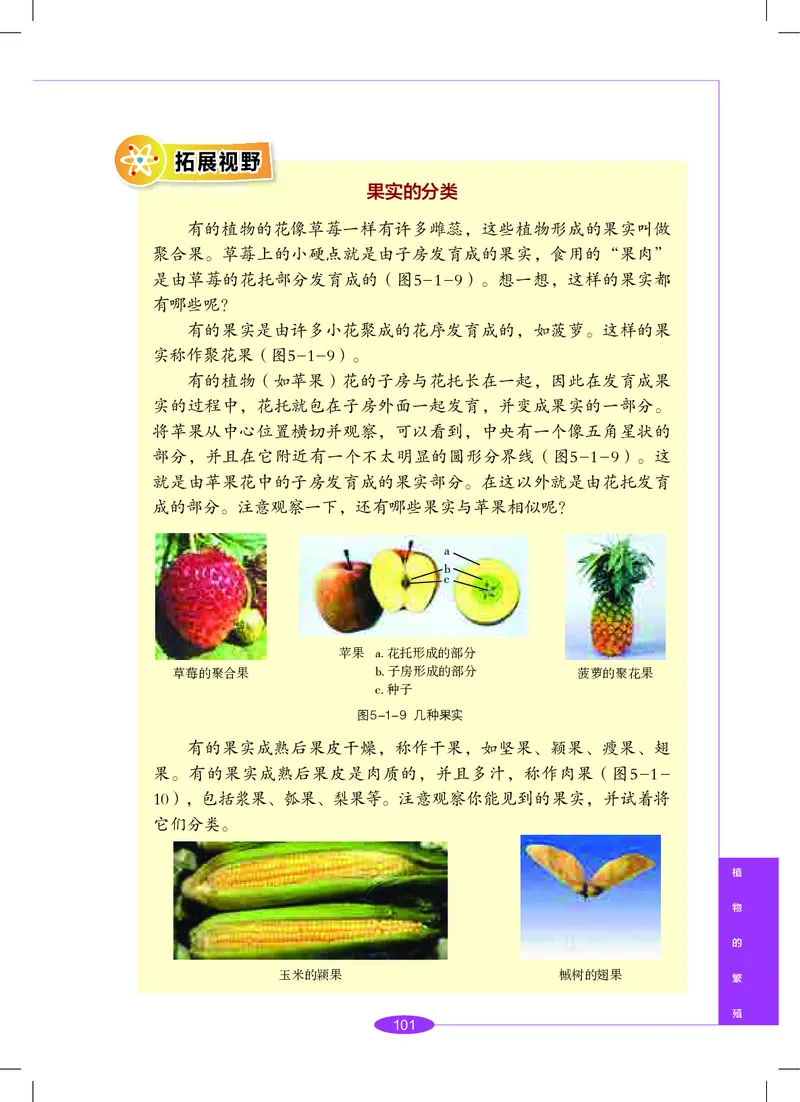 沪教版8年级科学下册高清教材_4-教培资料-26年最新资料-同步更新_初中高中教资_03科三专项（进去保存报考的学科即可）_02科三专项（笔记真题思维导图教学设计版本二）