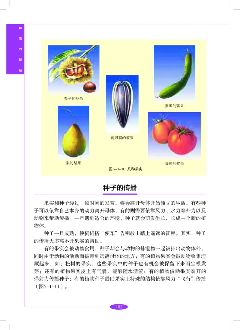 沪教版8年级科学下册高清教材_4-教培资料-26年最新资料-同步更新_初中高中教资_03科三专项（进去保存报考的学科即可）_02科三专项（笔记真题思维导图教学设计版本二）