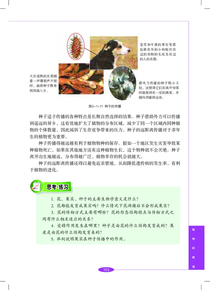 沪教版8年级科学下册高清教材_4-教培资料-26年最新资料-同步更新_初中高中教资_03科三专项（进去保存报考的学科即可）_02科三专项（笔记真题思维导图教学设计版本二）
