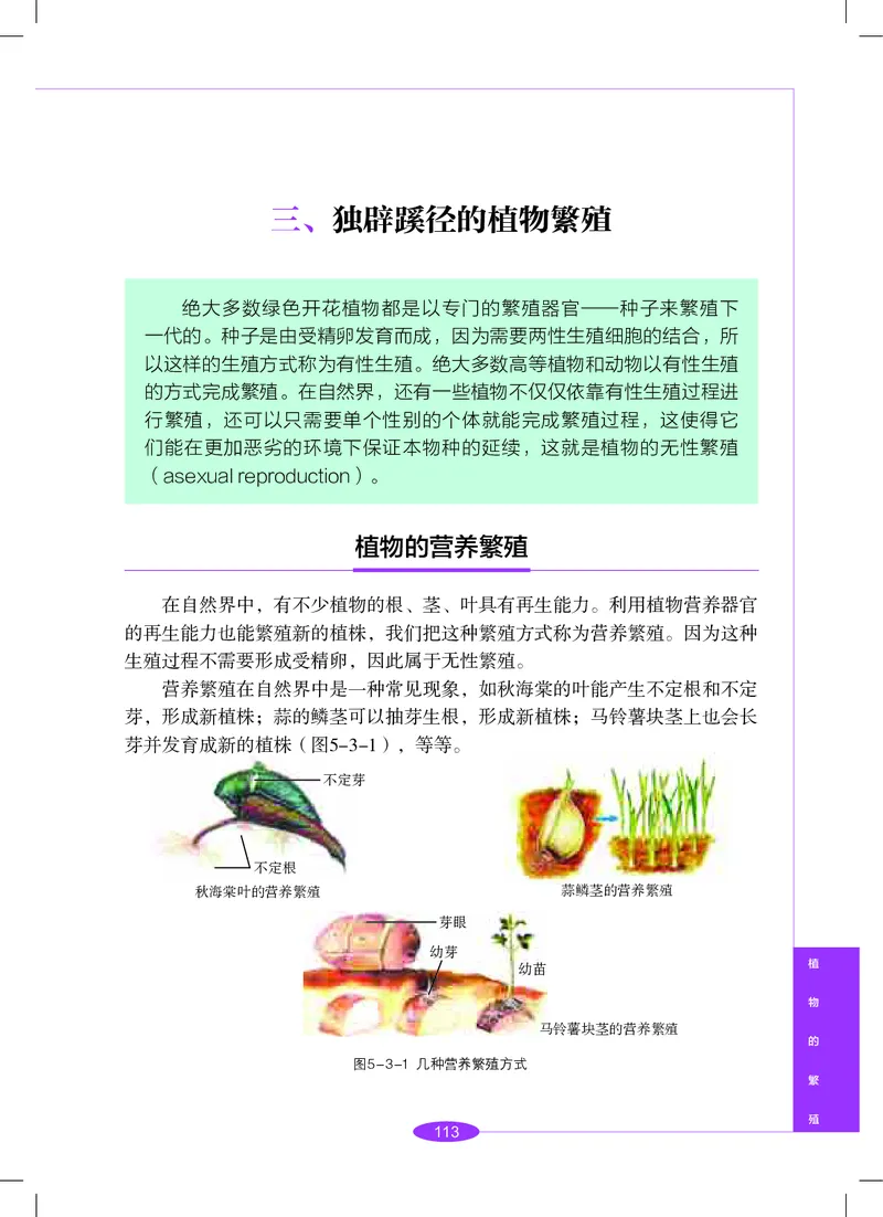 沪教版8年级科学下册高清教材_4-教培资料-26年最新资料-同步更新_初中高中教资_03科三专项（进去保存报考的学科即可）_02科三专项（笔记真题思维导图教学设计版本二）